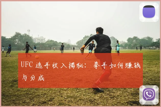 UFC 选手收入揭秘:拳手如何赚钱与分成