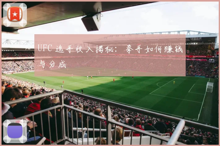 UFC 选手收入揭秘：拳手如何赚钱与分成