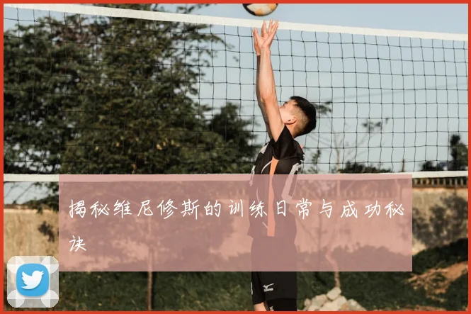 揭秘维尼修斯的训练日常与成功秘诀